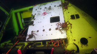 The ROV Jason inspects the crab-infested Primary Node PN1B