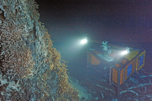 Active hydrothermal vent: Mushroom