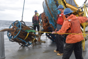 Inshore Surface Mooring recovery
