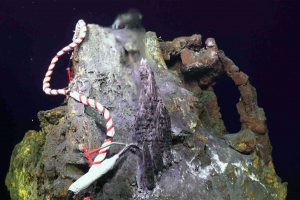 Ocean observing equipment at hydrothermal vent Escargot