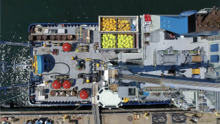 Irminger-Deck-Plan-small-scaled-copy