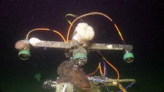 A sable fish rests atop a digital still camera