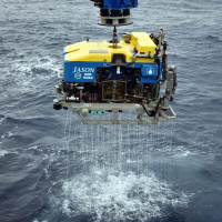 During the summer 2020 Regional Cabled Array expedition, the ROV Jason made a remarkable 44 dives