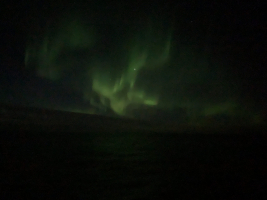 The northern lights (Aurora borealis)