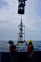 Bioacoustics sonar deployment