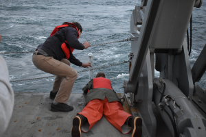 Irminger 8 Teamwork