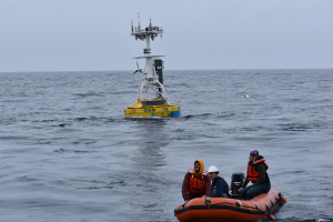 Irminger buoy