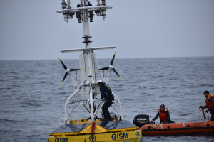 Irminger buoy