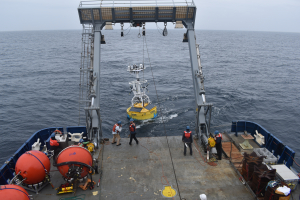 Irminger Array recovery