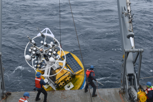 Irminger Array recovery