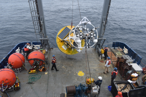 Irminger Array recovery