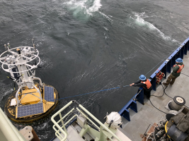 Inshore Surface Buoy  hooked to bring onboard