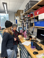Plankton Imaging System