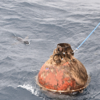 A seal visit