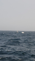 Success!