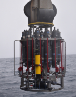 Stryrofoam cups on  CTD after immersion