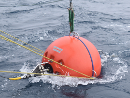 Flanking mooring top float