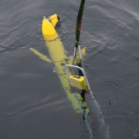 Glider in water