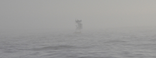 buoy in fog