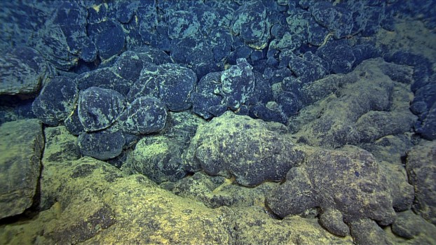 Glassy pillow basalts erupted as part of the April 24tt, 2015 event overly older, lightly sedimented flows along the northern rift zone of Axial Seamount. (Credit: NSF-OOI/UW/ROPOS; V15)