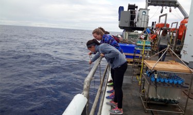 Students onboard the R/V Thompson collect velella velella (by-the-wind-sailors) off the starboard side during the first leg of the expedition. (Credit: Mitch Elend / University of Washington)