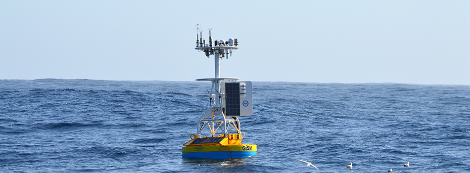 The newly deployed Irminger Sea Array Global Surface Buoy floats along the surface as seabirds investigate. The Global Surface Mooring will collect data from sensors distributed throughout the water column and transmit it back to shore via satellite. In this strongly forced ocean region, the surface meteorological and turbulent air-sea flux sensor packages will contribute much sought after information about the interaction between the atmosphere and ocean. (Photo Credit: Sheri N. White)