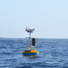 UPDATE: Irminger Sea Surface Mooring Flyover Conducted The newly deployed Irminger Sea Array Global Surface Buoy floats along the surface as seabirds investigate. The Global Surface Mooring will collect data from sensors distributed throughout the water column and transmit it back to shore via satellite. In this strongly forced ocean region, the surface meteorological and turbulent air-sea flux sensor packages will contribute much sought after information about the interaction between the atmosphere and ocean. (Photo Credit: Sheri N. White)