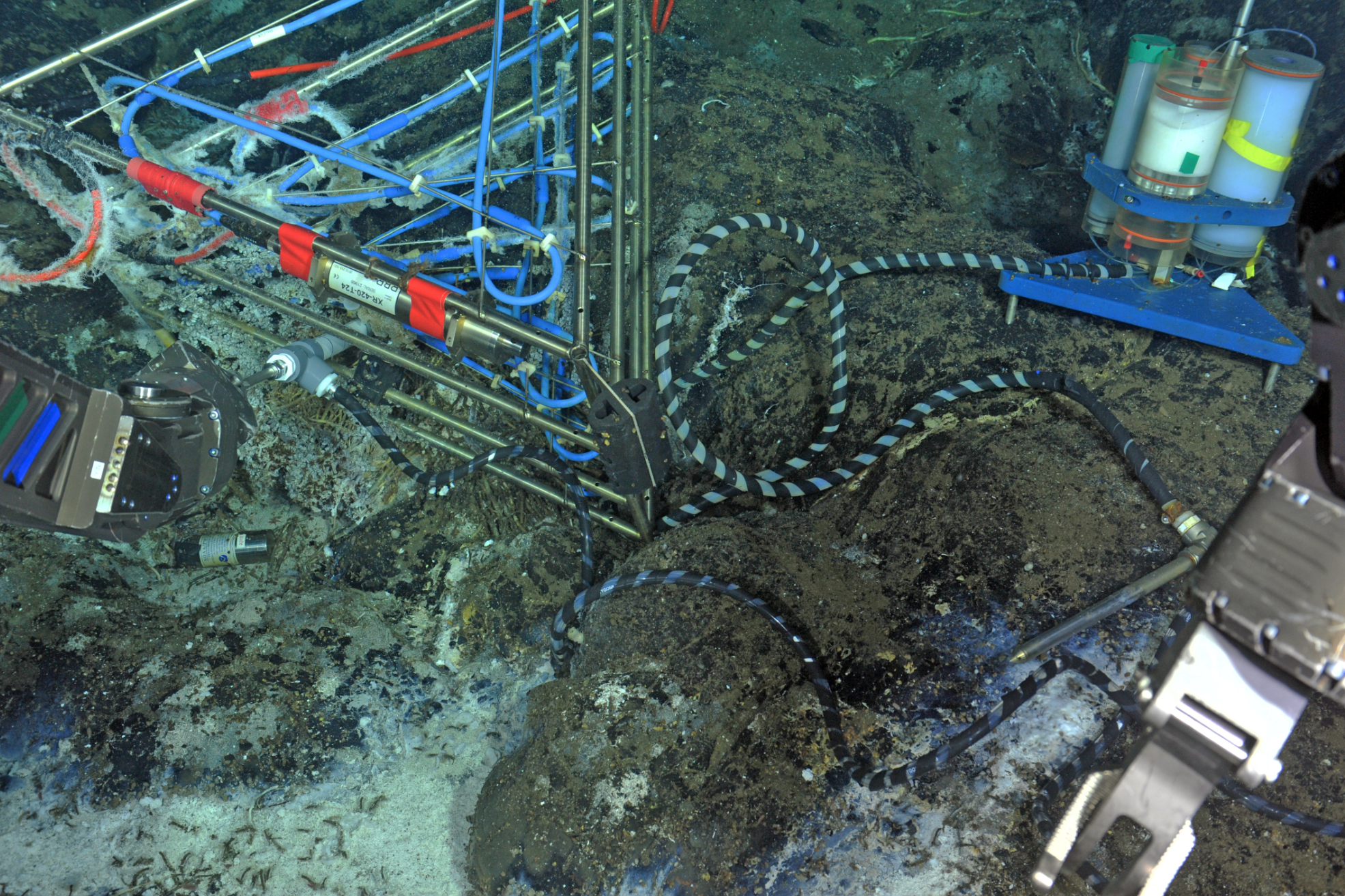An Osmotic fluid sampler is installed in a small diffuse flow site hosting abundant tubeworms, limpets, and palm worms in the ASHES hydrothermal fluid. When recovered next year, the fluids this sampler host will provide information on how vent fluid chemistry changes over time. Credit: NSF-OOI/UW/ISS; Dive R1835; V15.