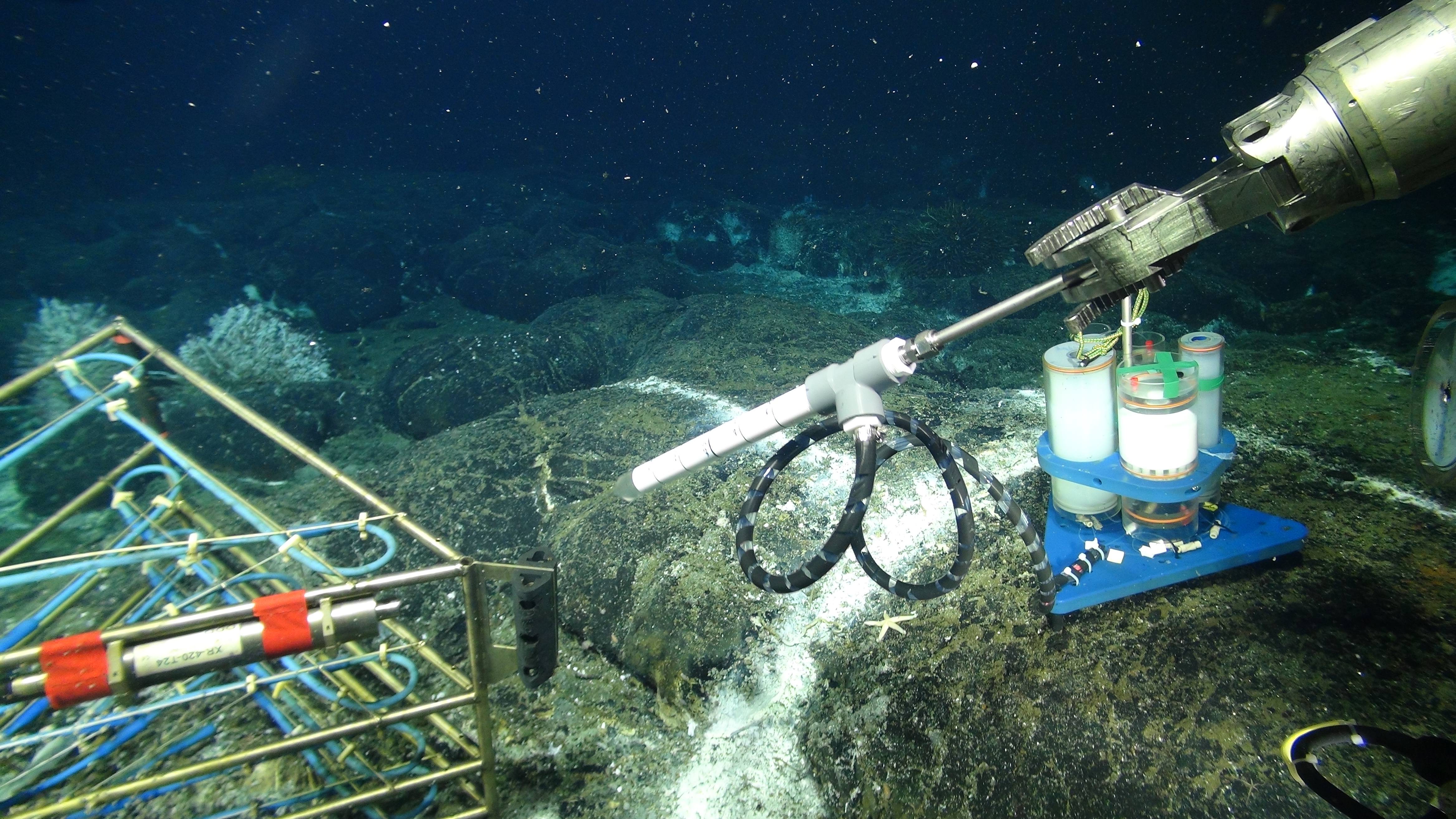 A new osmotic fluid sampler being installed in a diffuse flow site hosting a 3D temperature array in the ASHES Hydrothermal Field on the summit of Axial Seamount. Onshore analyses of the entrapped fluids provide insights on the evolution of fluid chemistry in time, in response to changing environmental conditions e.g. earthquakes, temperature, microbial utilization of gases and different elements. Credit: UW/NSF-OOI/WHOI; V16.