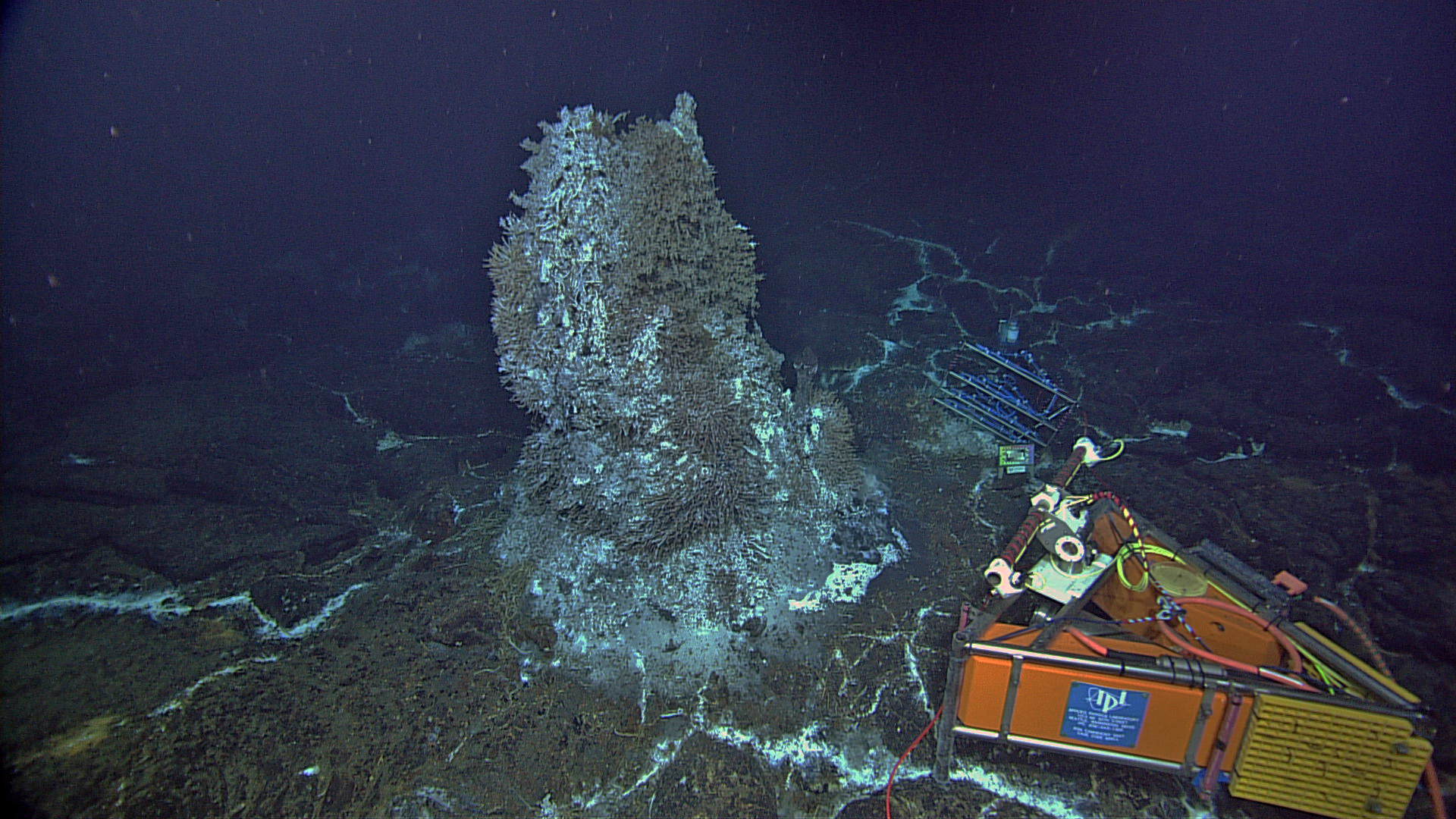 Photo Credit: NSF-OOI/UW/CSSF; Dive R1730; V14