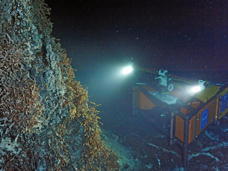 A new high-definition camera installed at a hydrothermal vent along the Juan de Fuca Ridge streams live imagery more than 480 kilometers back to shore from a depth of more than 1,500 meters. The vent is named “Mushroom” and is in the caldera of the ridge’s Axial Seamount, located off the Pacific Northwest coast of North America. Two workshops at Rutgers University focused on using ocean observatory data as an undergraduate teaching tool. Credit: NSF-OOI/UW/ISS