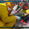 WHOI’s “Life at the Edge” video captures the Pioneer Array Screen Shot 2018-09-17 at 2.02.55 PM