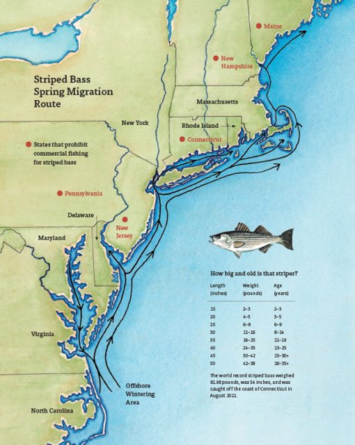 Pioneer Array Ocean Observatories Initiative