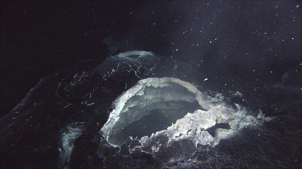  A snow blower vent at the Axial Seamount released microorganisms that are believed to bloom after an eruption. (Credit: Bill Chadwick, Oregon State University/WHOI)