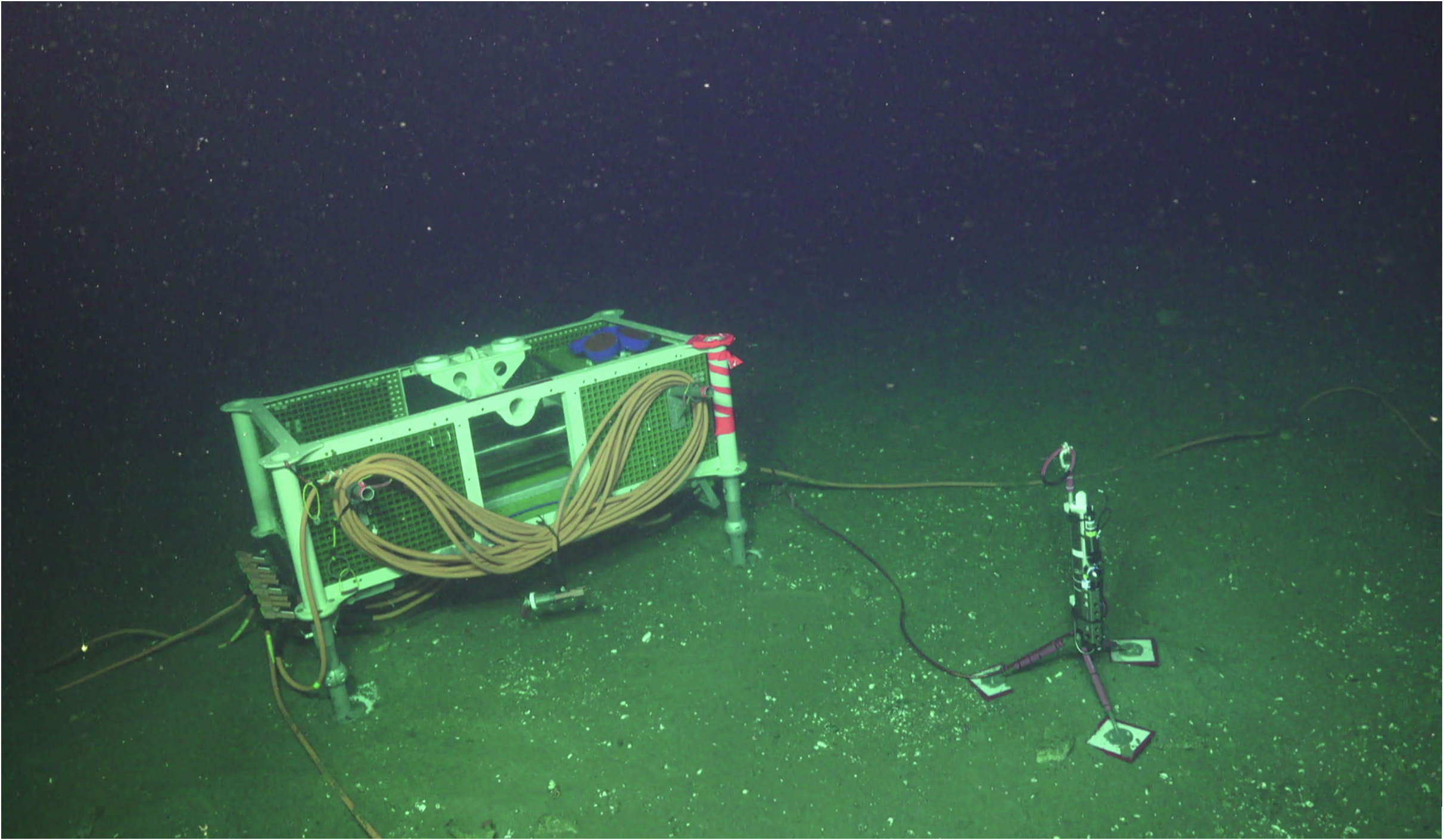 Figure 1. The MARUM CTD-DO instrument was deployed within few meters of the medium-power junction box MJ01B to measure environmental parameters of bottom waters at the summit of Southern Hydrate Ridge. Credit: UW/NSF-OOI/WHOI; V18.