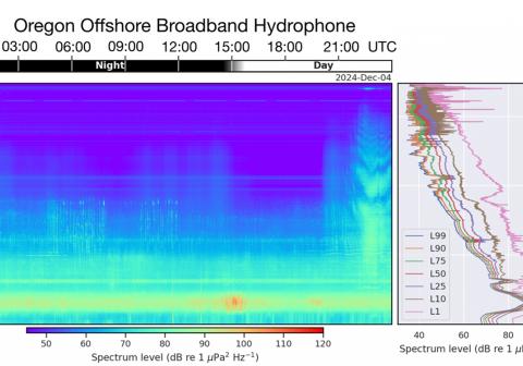 An example of a daily spectrogram generated by the RCA Data Team spectrogram viewer. A Humpback whale song is visible throughout the day at ~40-1000 Hz. A chorus of Fin Whale vocalizations is visible at 20-40 Hz. A weather event is visible at 0100, and a ship passage at 2200.