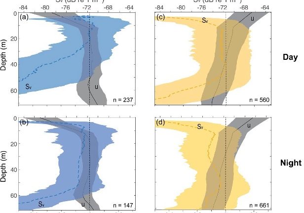 Figure 22: The influence of upwelling and downwelling on diel vertical migration