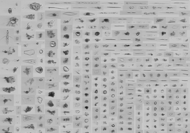 Screenshot-2026-03-18-at-11.29.59-AM-1536x1146