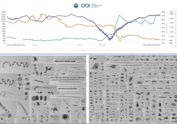 Figure 3: Upper panel: Data comparison chart from OOI Data Explorer showing ROIs per ml (green line with dots), practical salinity (orange line), and atmospheric pressure (purple line) before and after the eye of the nor’easter Winter Storm Gianna passed over CNSM on Feb. 1, 2026. Lower panels: Mosaics of images from the OOI IFCB Dashboard on  Feb. 1, 2026 at 00:25 UTC (left) and 15:25 UTC (right).