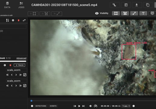 VIAME web environment with a couple of annotated scale worms