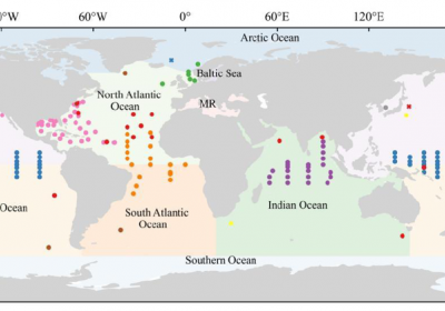 Figure 1: Locations of 197 buoy sites used in the analysis. Note the relative scarcity of sites in the southern oceans and in the high latitude Atlantic Ocean. From Wang et al., 2026.