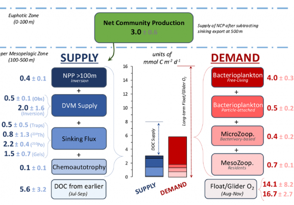 Assessment of the organic carbon budget in the upper mesopelagic zone during EXPORTS. Estimated individual contributions to supply (left) and demand (right) are provided along with error estimates. Terms with multiple measurement methods (far left, far right) were averaged. The center panel shows the cumulative supply and demand relative to a vertical scale in units of mmol C per (m^2 day). From Stephens et al., 2025.